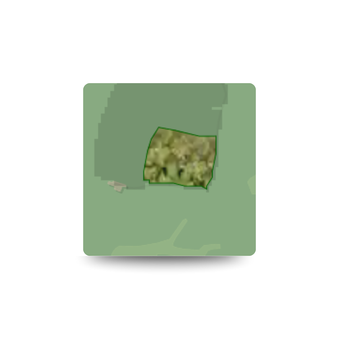 Untitled design - 2025-06-04T111140.954.png