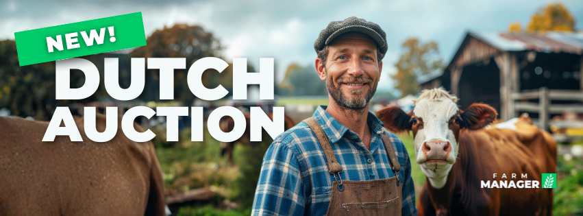 Dutch_Auction.png